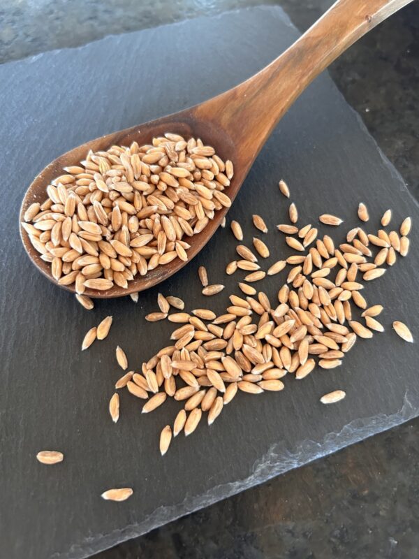BIO-Dinkel, ganzes Korn 1kg