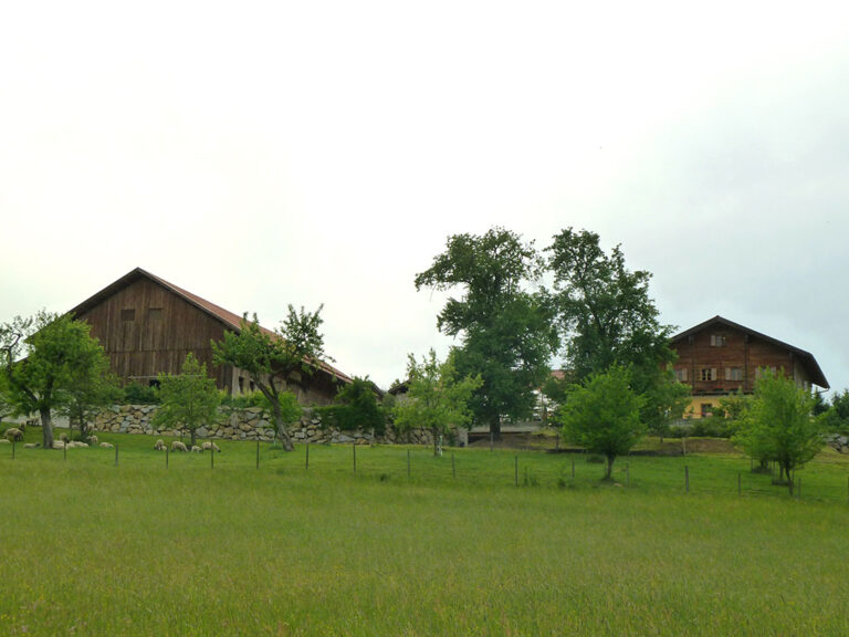 Hof1