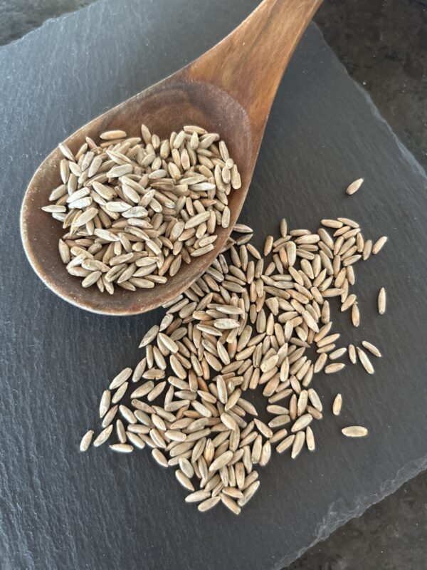 BIO-Roggen, ganzes Korn 1kg